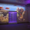 Проекционный дизайн "Виртуальная реальность" базовый комплект 500 анимаций - «globural.ru» - Краснокамск
