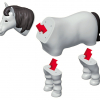 Магнитный конструктор Животные «Смешай и собери». Серия Животные фермы. Комплект на группу - «globural.ru» - Краснокамск