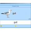 Английский язык. Освоение клавиатуры - «globural.ru» - Краснокамск