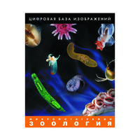 Зоология. Микрофотографии. (Цифровая база изображений) - «globural.ru» - Краснокамск