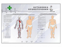Электрифицированный стенд "Остановка кровотечения" - «globural.ru» - Краснокамск