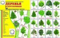 Демонстрационные карточки "Деревья и кустарники" - «globural.ru» - Краснокамск