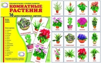 Демонстрационные карточки "Комнатные растения" - «globural.ru» - Краснокамск