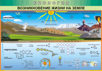 Таблица Возникновение жизни на Земле 1000*1400 винил - «globural.ru» - Краснокамск