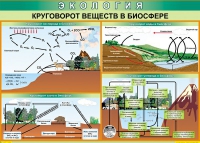 Таблица Круговорот веществ в биосфере 1000*700 винил - «globural.ru» - Краснокамск