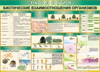Таблица Биотические взаимоотношения организмов 1000*700 (винил) - «globural.ru» - Краснокамск