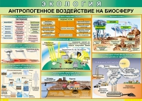 Таблица Антропогенное воздействие на биосферу 1000*700 винил - «globural.ru» - Краснокамск