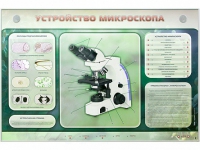 Электрифицированный стенд "Устройство микроскопа и правила работы c ним" - «globural.ru» - Краснокамск