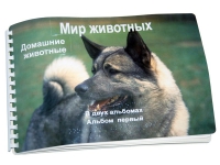 Пособие для слабовидящих "Домашние животные" - «globural.ru» - Краснокамск