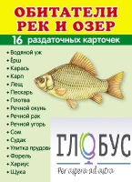 Раздаточные карточки "Обитатели рек и озер" - «globural.ru» - Краснокамск