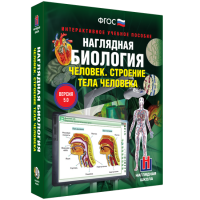 Наглядная биология. Человек. Строение тела человека - «globural.ru» - Краснокамск