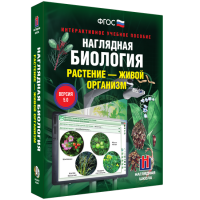 Наглядная биология. Растение - живой организм - «globural.ru» - Краснокамск