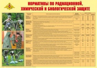Плакат "Нормативы по радиационной, химической и биологической защите" - «globural.ru» - Краснокамск