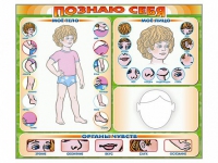 Стенд маркерный "Познаю себя" (тело, голова, органы чувств) - «globural.ru» - Краснокамск