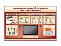 Многофункциональный интерактивный стенд-тренажер "Оказание первой помощи пострадавшим" для учащихся общеобразовательных учреждений - «globural.ru» - Краснокамск