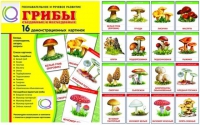 Демонстрационные карточки  "Грибы съедобные и не съедобные" - «globural.ru» - Краснокамск