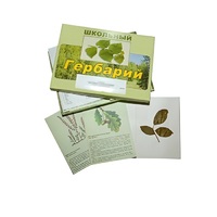 Гербарий "Дикорастущие растения" (30 видов, с иллюстрациями) - «globural.ru» - Краснокамск