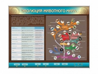Интерактивный электрифицированный стенд "Эволюция животного мира" - «globural.ru» - Краснокамск