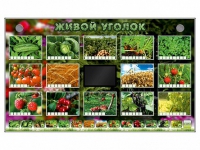 Комплект оборудования "Живой уголок" (растения) - «globural.ru» - Краснокамск