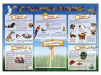Стенд-уголок "Друзья наши меньшие" - «globural.ru» - Краснокамск