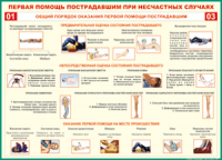  Таблица Общий порядок оказания первой помощи пострадавшим 1000*1400 винил	 - «globural.ru» - Краснокамск