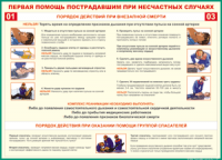 Таблица Порядок действий при внезапной смерти 1000*1400 винил - «globural.ru» - Краснокамск
