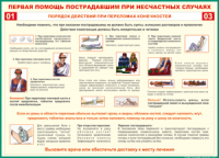 Таблица Порядок действий при переломах конечностей 1000*1400 винил - «globural.ru» - Краснокамск