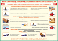 Таблица Порядок действий при коматозном состоянии пострадавшего 1000*1400 винил - «globural.ru» - Краснокамск