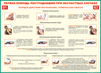Таблица Порядок действий при ранениях и термических ожогах	 1000*1400 винил - «globural.ru» - Краснокамск