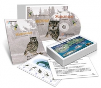 Комбинированное наглядное пособие «Животные» - «globural.ru» - Краснокамск