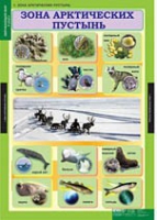 Окружающий мир 4 класс (комплект таблиц) - «globural.ru» - Краснокамск