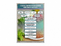 Стенд "Схема приготовления мясных котлет" - «globural.ru» - Краснокамск