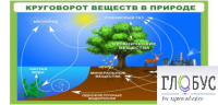 Стенд "Круговорот веществ" - «globural.ru» - Краснокамск