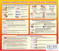 Стенд "Первая доврачебная неотложная помощь" - «globural.ru» - Краснокамск