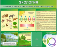Стенд "Экология. Организация и функционирование сообществ" - «globural.ru» - Краснокамск