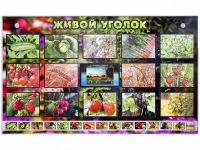 Комплект оборудования "Живой уголок" (растения) с тифлопереводом и сурдокомментариями - «globural.ru» - Краснокамск