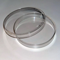Чашка Петри пластиковая с крышкой  60 мл. - «globural.ru» - Краснокамск