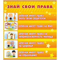 Стенд "Знай свои права" - «globural.ru» - Краснокамск