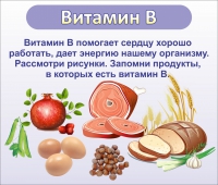Стенд "Витамин В" - «globural.ru» - Краснокамск