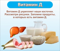Стенд "Витамин Д" - «globural.ru» - Краснокамск
