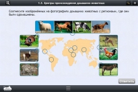 Интерактивные курсы. Биология 7 класс. Расширенный - «globural.ru» - Краснокамск