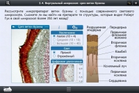 Интерактивные курсы. Биология 5 класс. Расширенный - «globural.ru» - Краснокамск