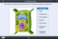 Интерактивные курсы. Биология 9 класс. Расширенный - «globural.ru» - Краснокамск