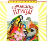 CD "Аудиоэнциклопедия. Городские птицы" - «globural.ru» - Краснокамск