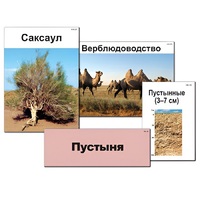 Модель-аппликация "Природные зоны России" - «globural.ru» - Краснокамск