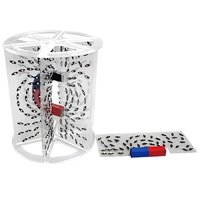 Модель для демонстрации в объеме линий магнитного поля  (вариант 1) - «globural.ru» - Краснокамск