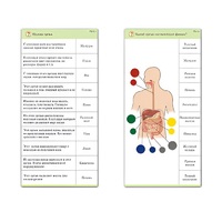 Комплект карточек (10) "Обучающий калейдоскоп. Человек" - «globural.ru» - Краснокамск