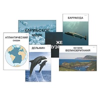 Модель-аппликация "Океаны. Знакомство" (ламинированная) - «globural.ru» - Краснокамск