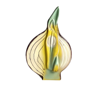 Модель "Луковица в разрезе" - «globural.ru» - Краснокамск