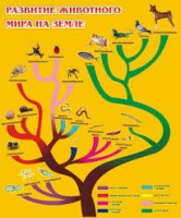 Стенд "Развитие животного мира на земле" - «globural.ru» - Краснокамск